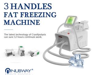 Quality professional cryolipolysis fat freezing machine home device fat freeze with ce&ISO 2 cyo handles can work at same time for sale
