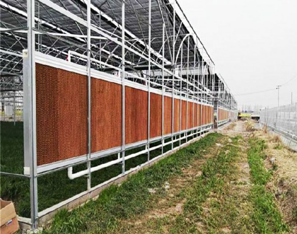 Outdoor New Material Cooling System for Chicken House High Absorbablity Evaporative Cooling Pads