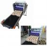 Automatic Egg Printing Machine For Date , Time , Serial Number for sale