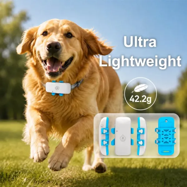 VP-Pet 4G Pet GPS Tracker with Custom Packaging Service