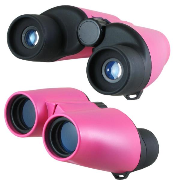 Field Angle 5.5 Degree 10x Compact Folding Binoculars 25mm Obj.Lens