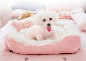 Quality  				Cute Design Fleece Bows Pet Pads Cushion Warm Dog Beds 	         for sale