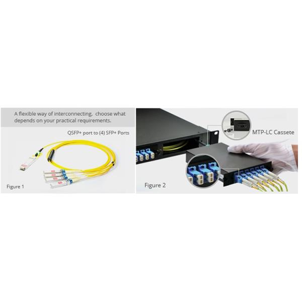 Single Mode Harnesss Breakout Patch Cable 12F MTP Female To 6 LC UPC Duplex LSZH OS2 9 / 125 Trunk Cable Jumper