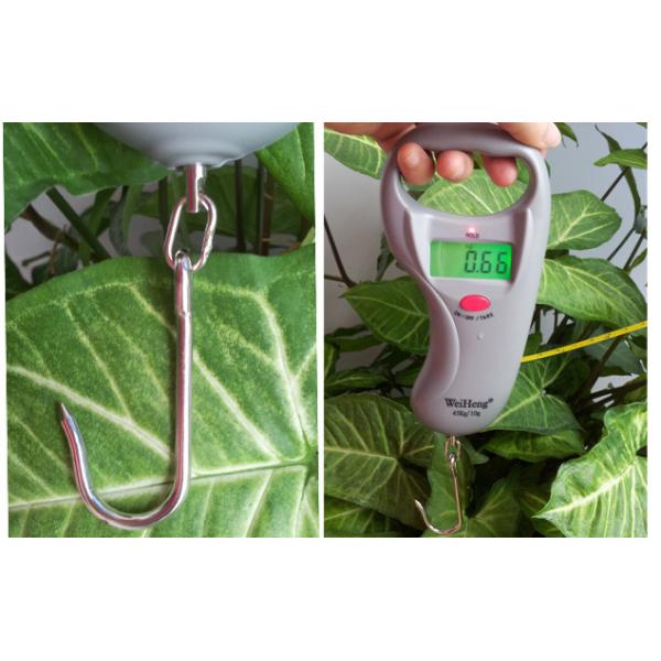 ABS Plastic Fishing Weight Scale 10g Division With Over Load Indication