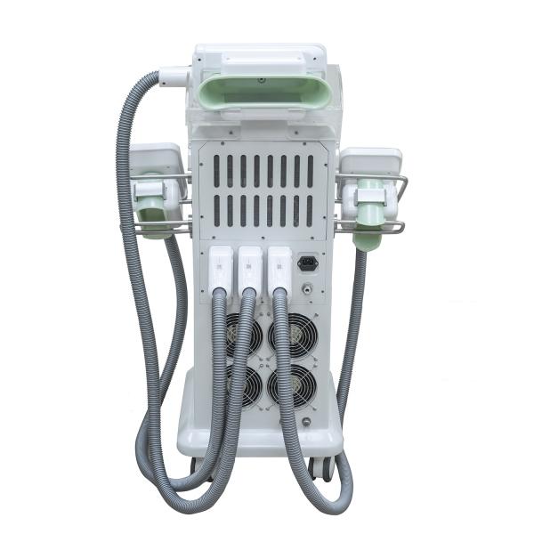Vertical Fat Freezing Machine , Supersonic Fat Reduction Device