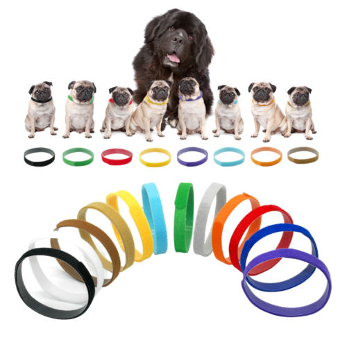 Puppy Id Collars Thin Hook And Loop Straps For Dog Pet , Color Distinguish