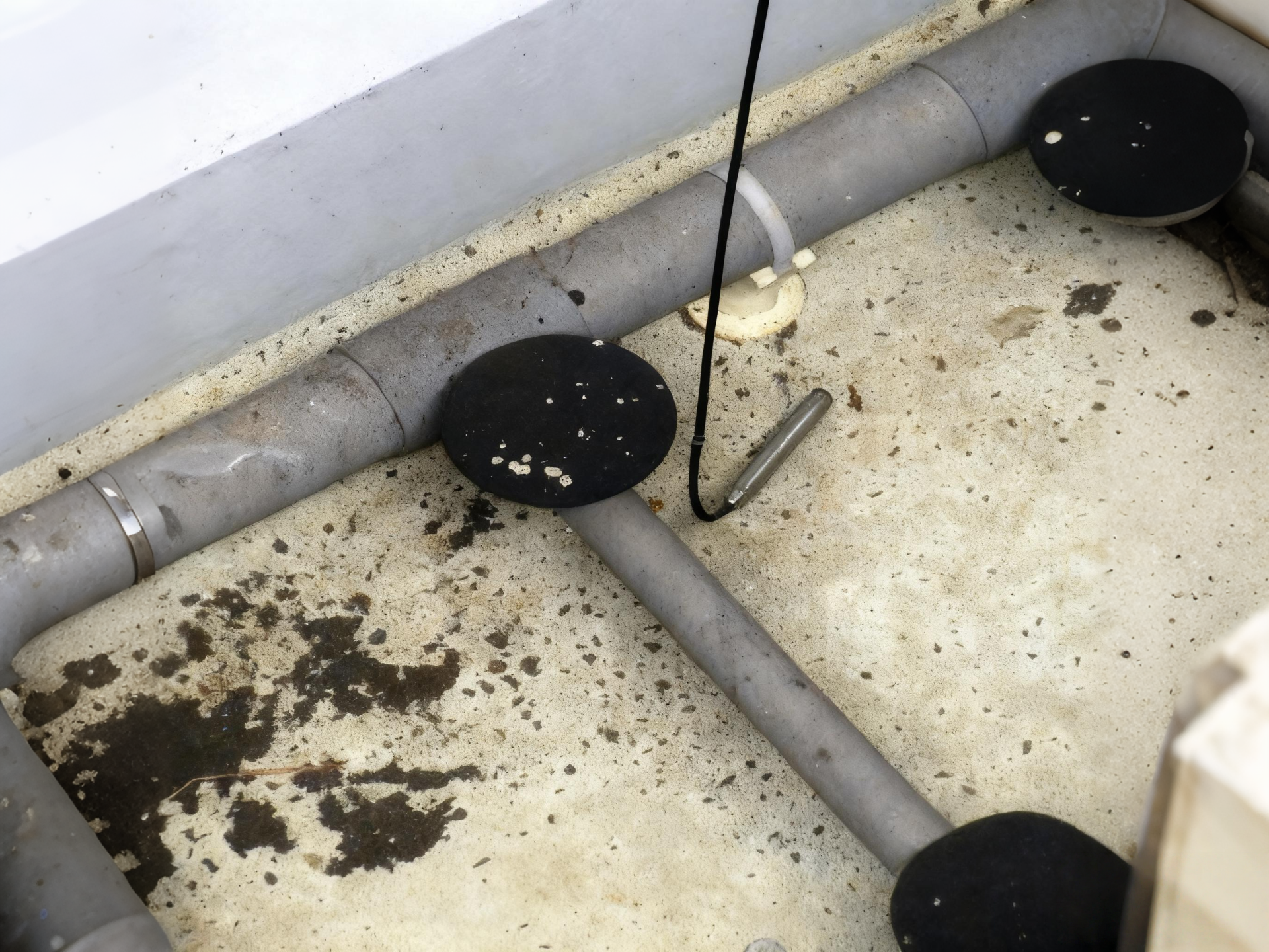 ABS Fine Bubble Membrane Diffuser PTFE Coated EPDM Bubble Disc Diffuser