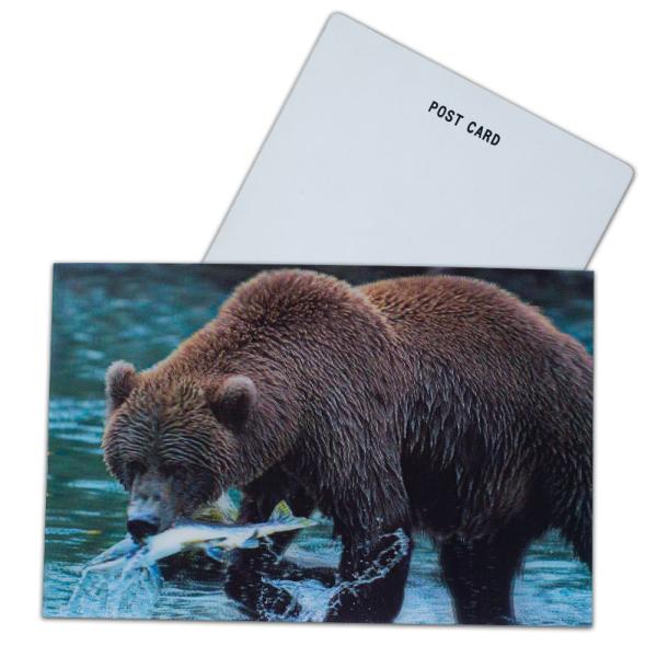Negotiation Status read failed 3D Lenticular Postcards for Market