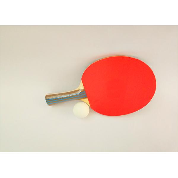 Defensive And Offensive Table Tennis Rackets For Ping Pong Player