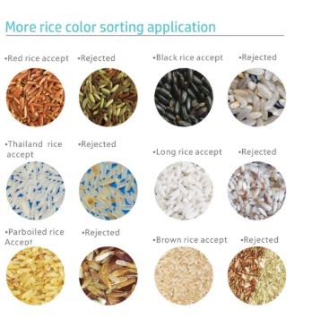 Classic Rice Color Sorter Machine High Precision Rice Sorter Machine