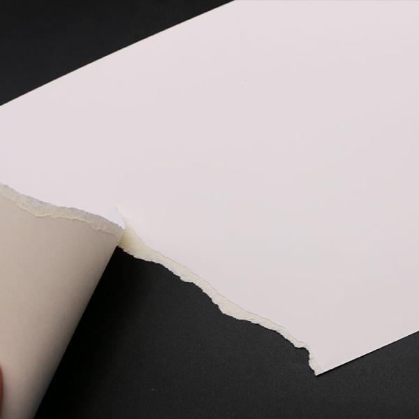 Offset Printing Compatible C2S Art Paper Ivory for Packaging