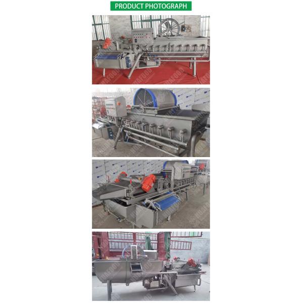 AC380V Air Bubble Vortex Type Vegetable Fruit Washing Machine