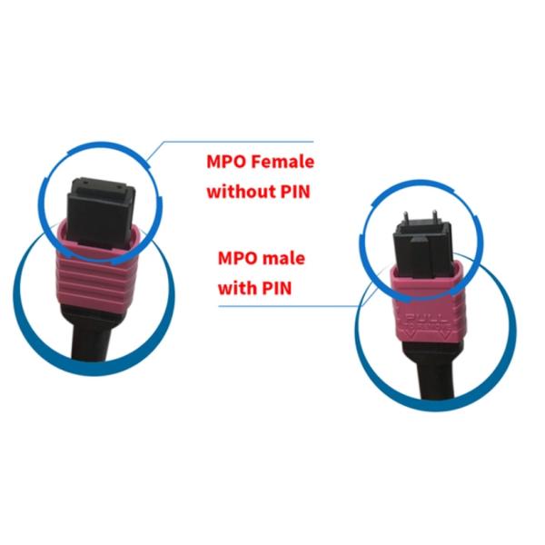 10G OM3 12 Core LSZH MTP Fiber Optic Harness Cable for High-Density Data Networks