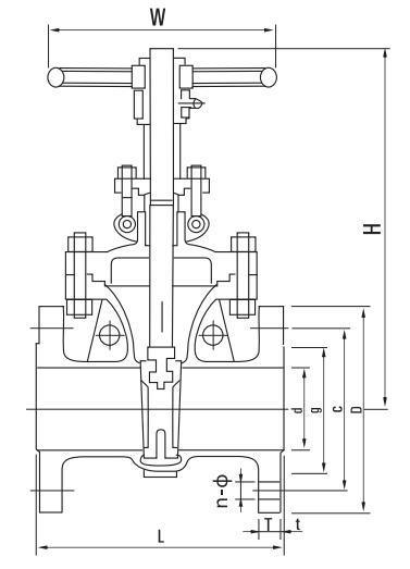 Forged Steel High Pressure/High Temperature Gate Valve