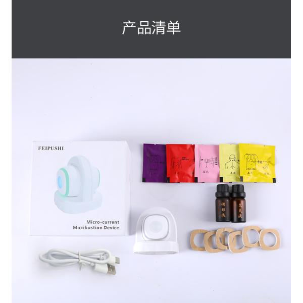 Micro current moxibustion instrument