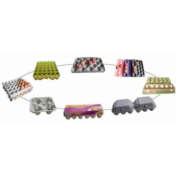 Customizable Egg Tray Manufacturing Pulp Tray Machine / Equipment 600Pcs/H