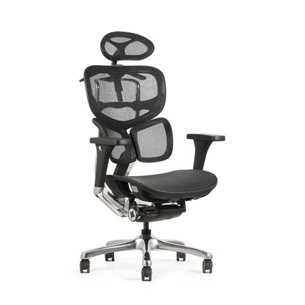 Manager Task Mesh Chairs Torsion Knobs Adjustable Lumbar OEM