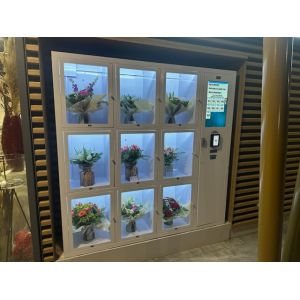 24/7 Self Service Cooling Locker Machine