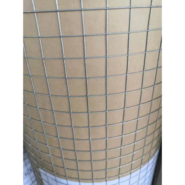 1/2 Inch Hole Size Electric Galvanized Pvc Coated Wire Mesh