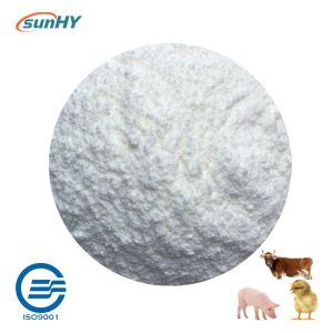 High Purity ISO γ Aminobutyric Acid Powder Form