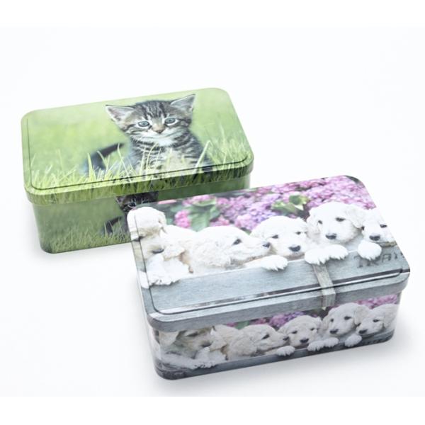 CMYK EN71 Rectangle Biscuit Tin Box With Logo Printed