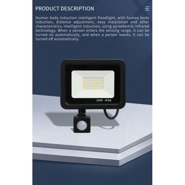 10W - 100W Induction Led flood light With Adjustable PIR Sensor floodlight Street Square Outdoor Lighting