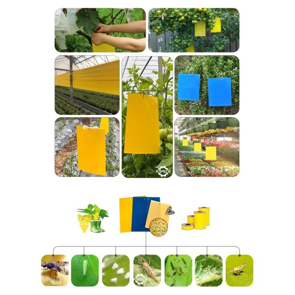 Hot Melt Glue Adhesive Coating Machine Mouse Rat Rodents Traps Board Making Machine