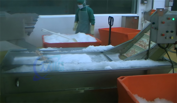 Durable 380V Seafood Cooling Machine Prawn Processing Machine Fish Processing