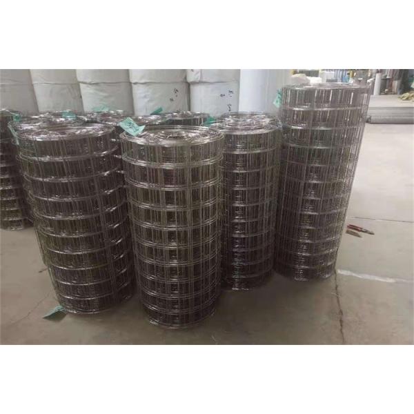 Breeding Net / Plastered 1x30m Ss Welded Wire Mesh