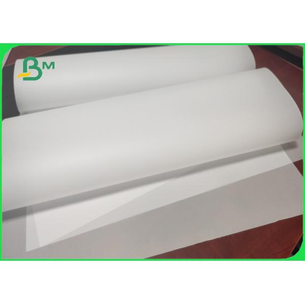 Transparent plotter paper