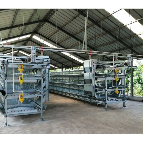 Battery Chicken Cages Fully Automatic Environmental Controlled System Suitable for Poultry Farming