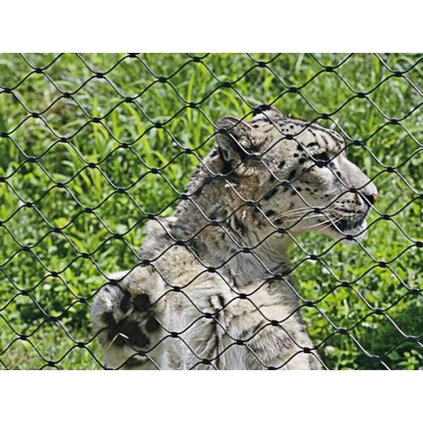 Zoo Mesh 7x19 Stainless Steel Materials