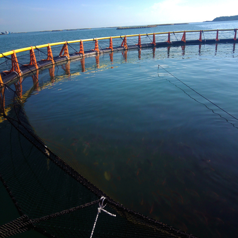 Export‑Grade Modular HDPE Fish Cage, Efficient Container Loading