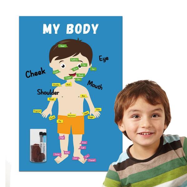 Removable Educational Learning Products Dry Erase Notebook Paper Poster