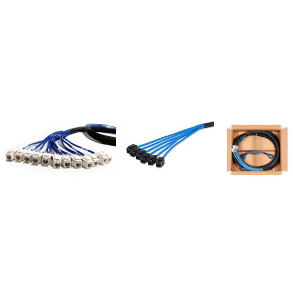 Cat 5e UTP Jack to Jack Trunk Cables
