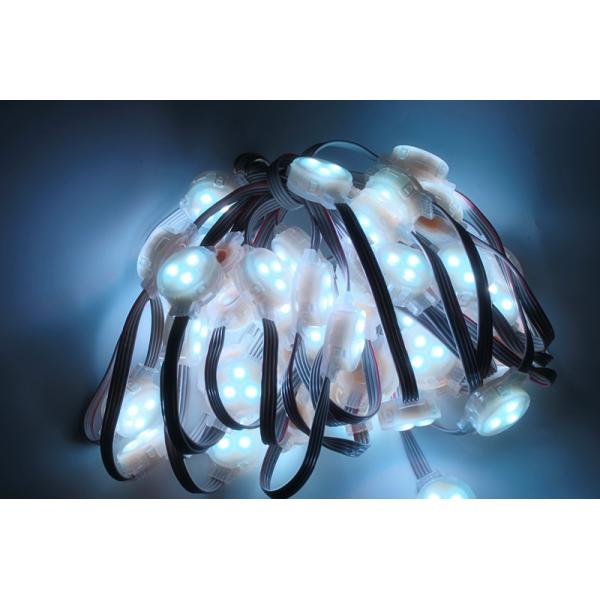 Miracle Bean 0.8W 12V IP65 30MM LED Pixel string