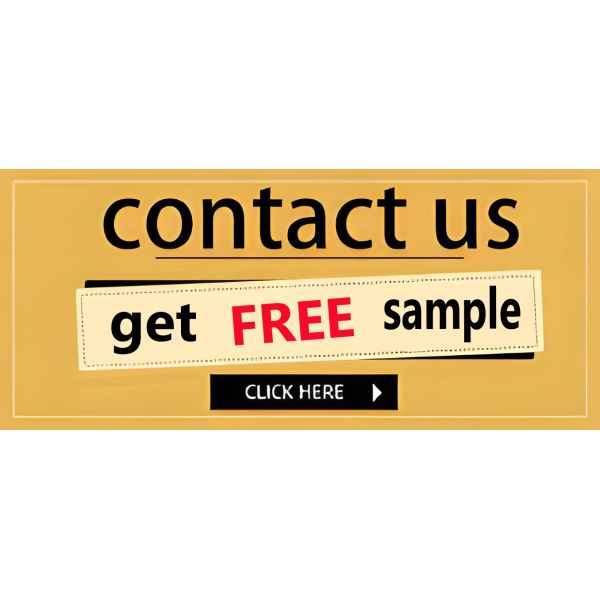 Biodegradable Zip Lock Bag Compostable Zipper Bag Recyclable Fruit Vegetable Food Packaging Bag