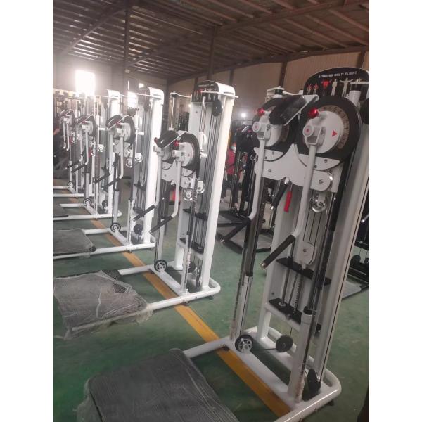 Multi Function Gym Equipment for Shoulder Press Back Extension and Standing Lateral Raise