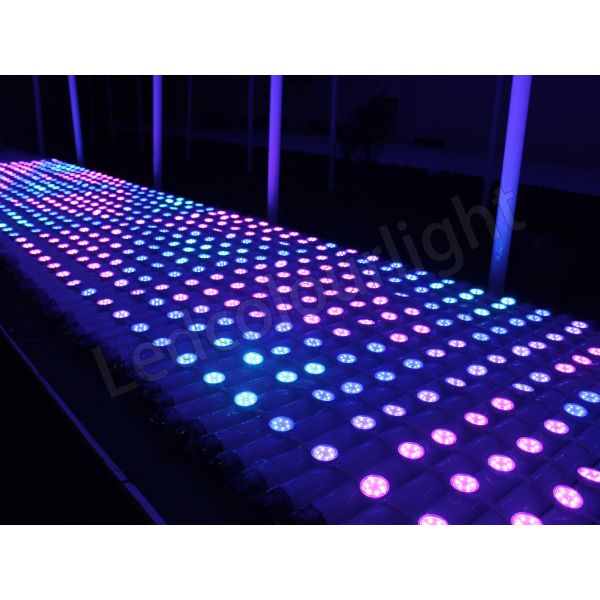IP66 DC24V 40mm RGB Pixel Dot String Light 1 Meter 10 LEDs