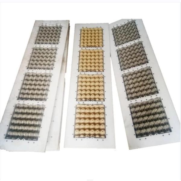 Paper Pulp Disposable Tableware Machine Egg Tray Mold With Polish Surface Treatment