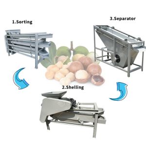 Producing Palm Kernel Cracking Machine with Almond Shell Kernel Separation