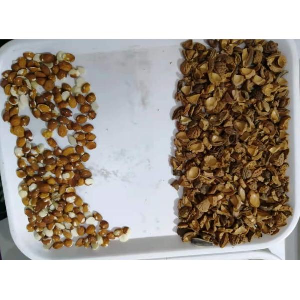 Multi-Functional Pine Nut Apricot Peanut / Groundnut Color Sorting Machine Color Separator