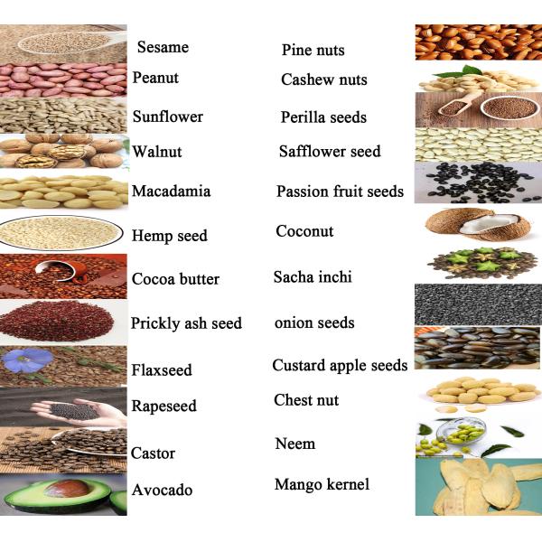Hydraulic avocado oil making machine automatic cold oil press machine for 6YY-270