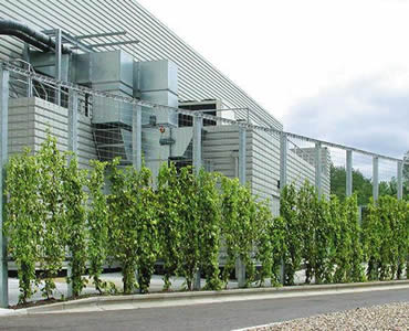 Stainless Steel Rope Mesh Green Wall