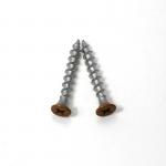 AISI 410 Stainless Steel Drywall Screws Coarse Thread Drywall Screws Bugle