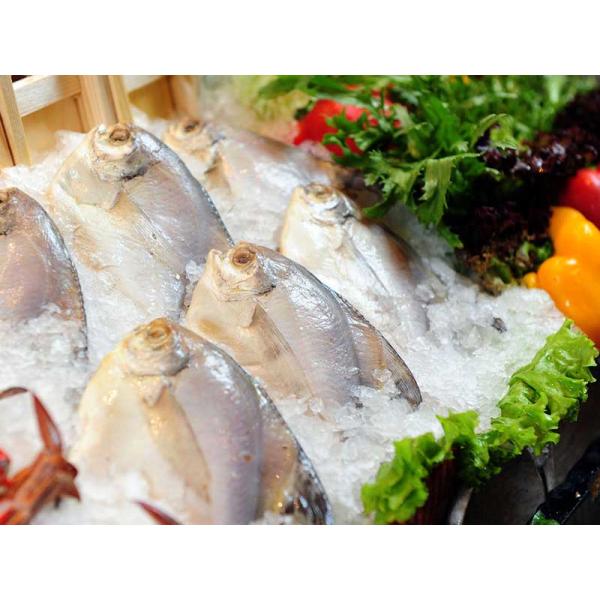 Industrial Automatic Ice Block Machine Direct Cooling With Packing And Storage System