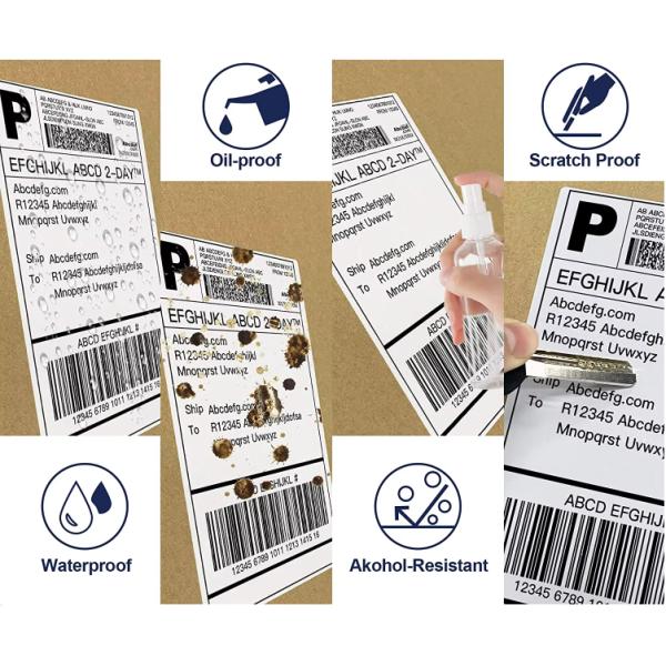 Eco Friendly Adhesive Label Roll Compostable Custom Thermal Transfer Labels