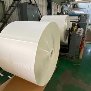 170Gsm PE Laminated Paper Roll Single / Double PE Coating