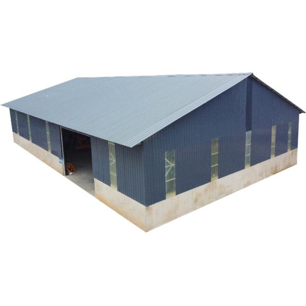 Factory Workshop Building Prefab Steel Structure Warehouse Engineering Storage Buildings