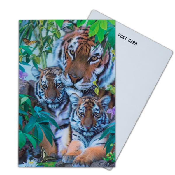 Negotiation Status read failed 3D Lenticular Postcards for Market